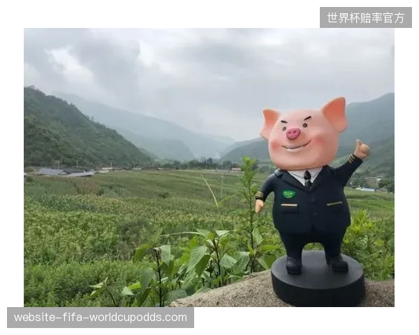 家佳康借助武汉马拉松，其IP“猪小康”系列文创产品融入城市记忆，实现品牌资产长效沉淀